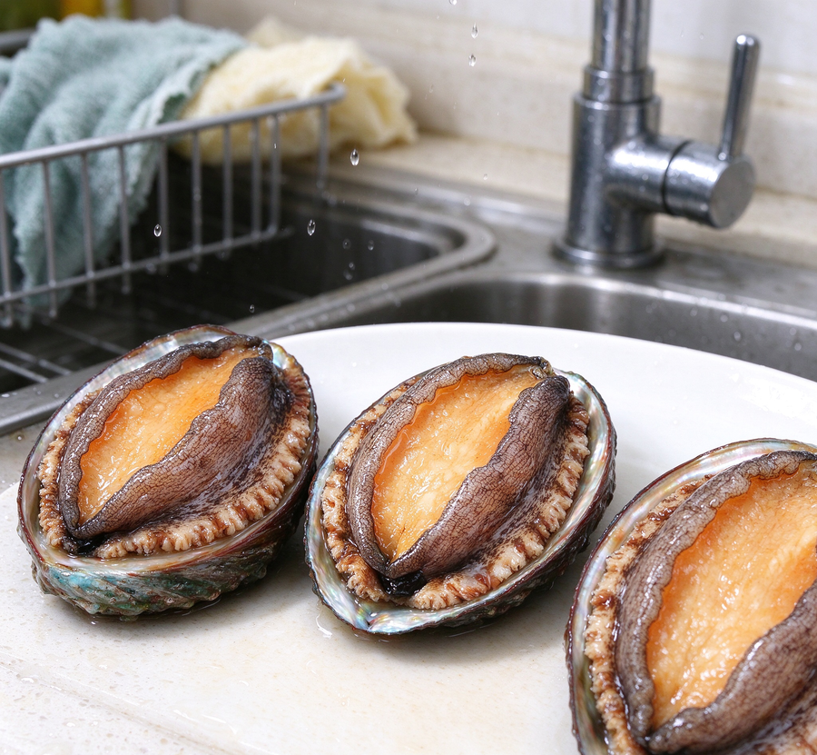 Fresh Abalone